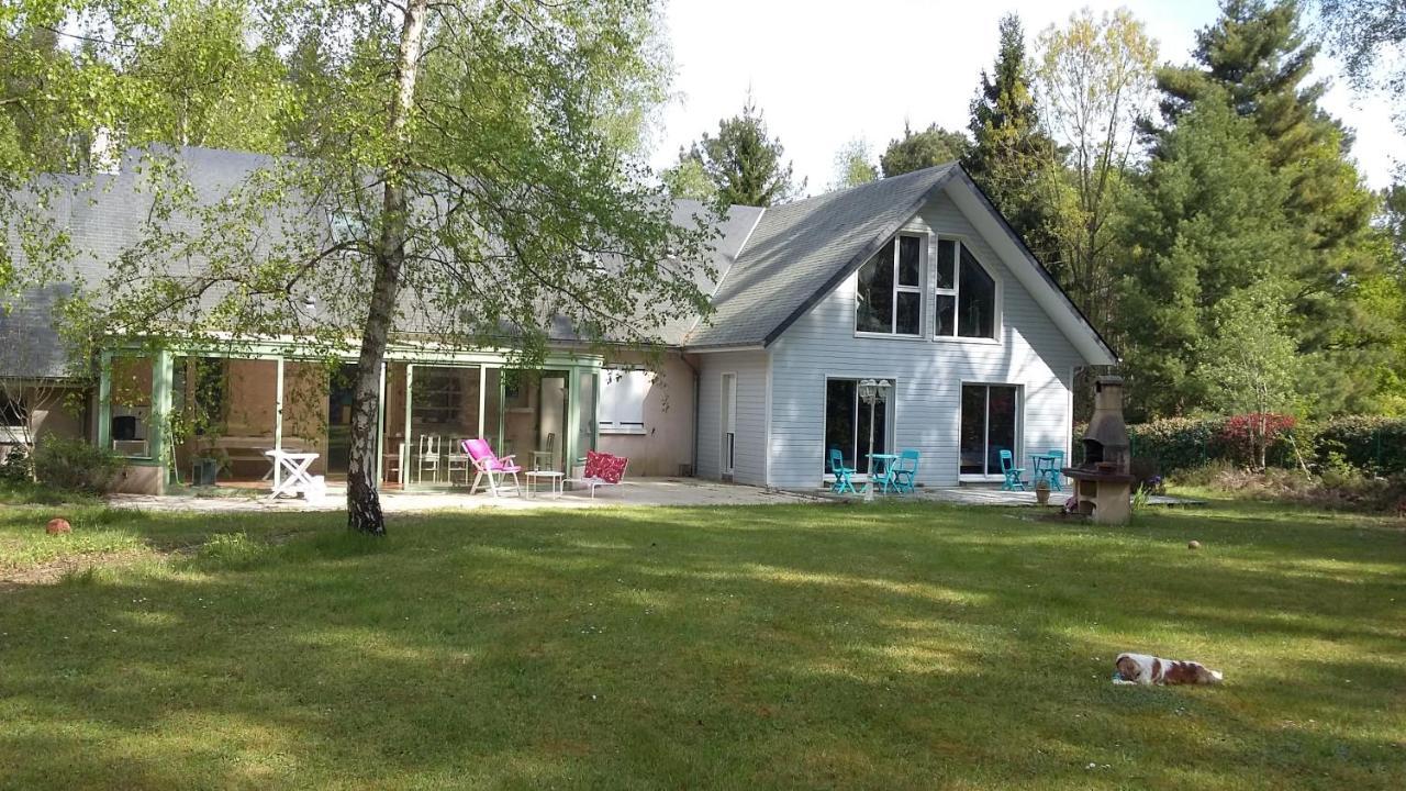 B&B La Foret De Charmeuse Ruaudin Buitenkant foto