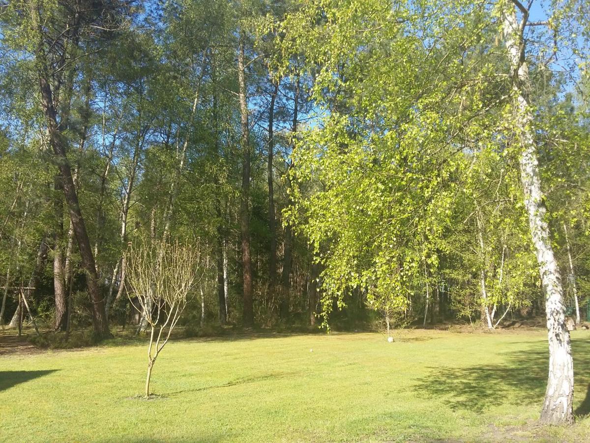 B&B La Foret De Charmeuse Ruaudin Buitenkant foto
